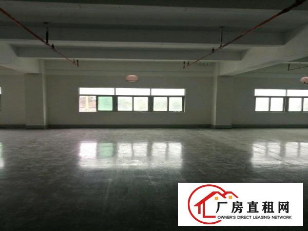 
		丹竹头立信路200-1000平方厂房仓库招租
	