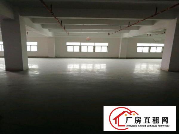 
		丹竹头立信路200-1000平方厂房仓库招租
	