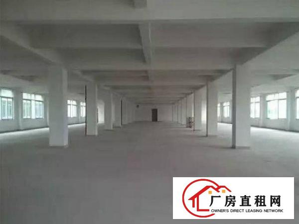 
		出租布吉丹竹头标准一楼厂房1650平方空地大
	