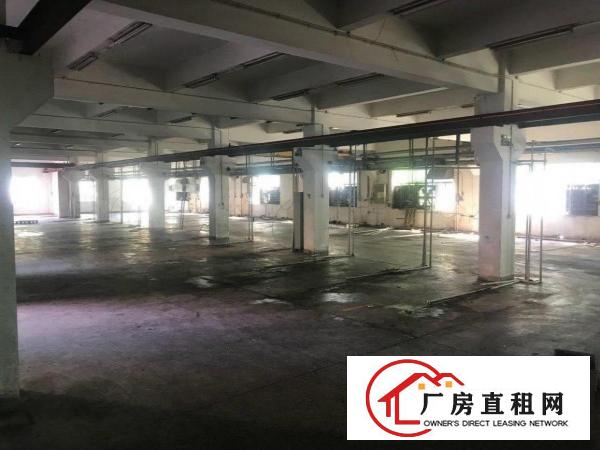 
		出租布吉丹竹头独门独院厂房一楼1000平方
	