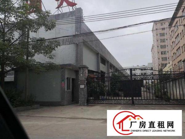 
		出租布吉丹竹头原房东单一层钢构厂房1500平米
	