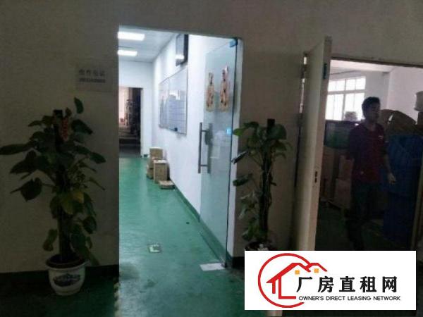 
		出租布吉康桥1300平方带装修
	