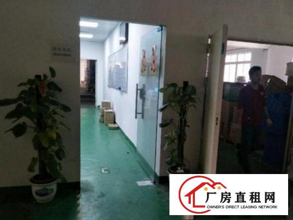 
		出租布吉康桥1300平方带装修
	