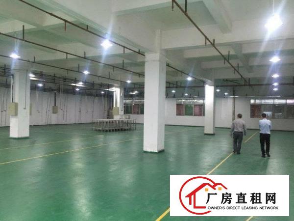 
		出租布吉百鸽笼楼上厂房1000平方，带地坪漆
	