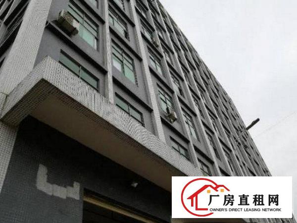 
		带货梯，布吉新三村楼上500平方带装修厂房出租
	
