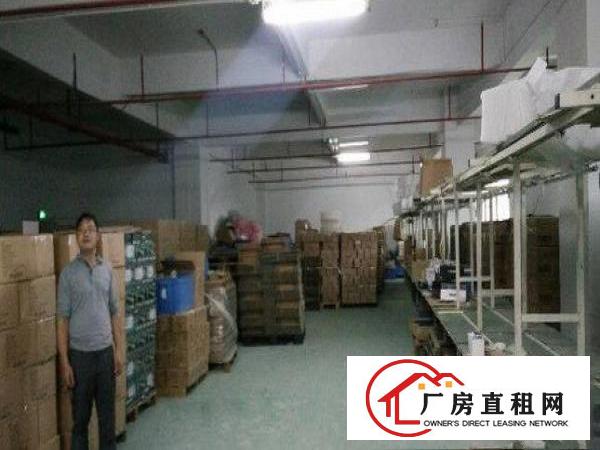 
		原房东，出租布吉华兴工业区楼上750平厂房
	