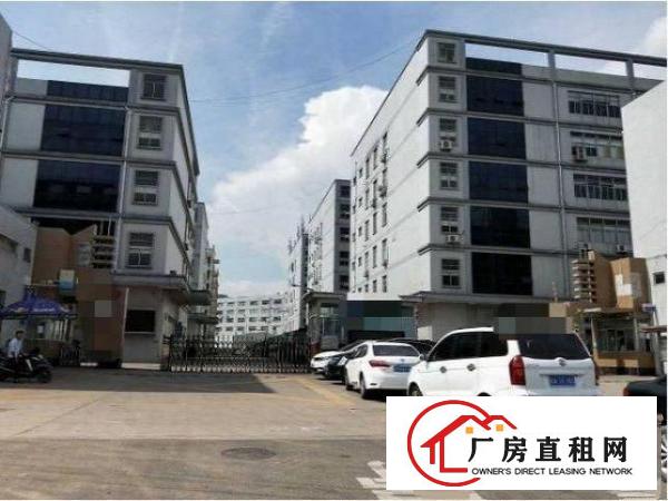 
		出租布吉龙岗大道新出楼上精装修厂房700平米
	