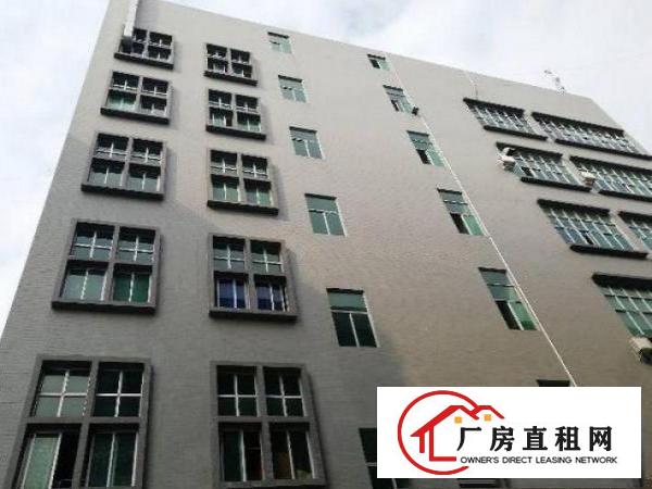 
		布吉一村工业区楼上800平方带豪华装修厂房出租
	