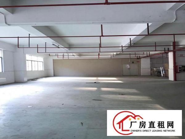 
		房东直租！丹竹头一楼厂房400平租金12000元，适合仓库
	
