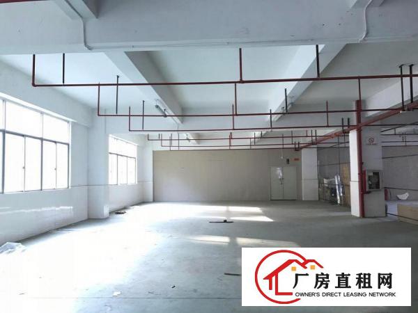 
		房东直租！丹竹头一楼厂房400平租金12000元，适合仓库
	