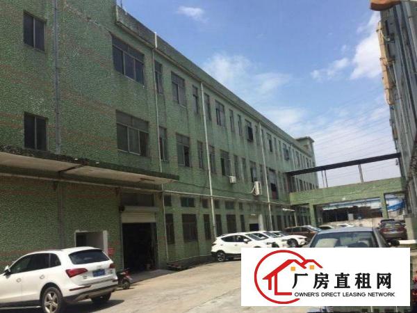 
		出租布吉万科红西区2楼原房东1000平光线好
	
