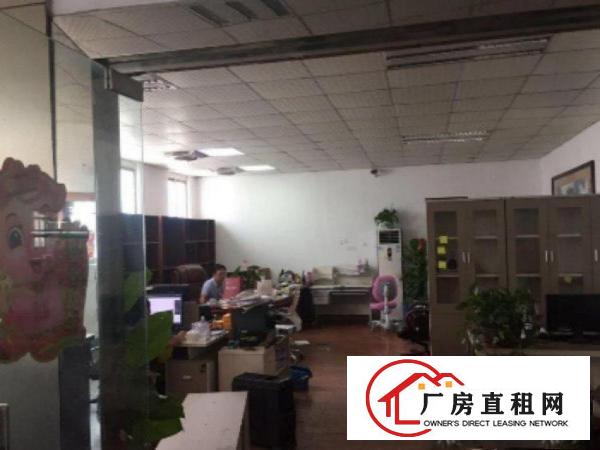 
		出租布吉万科红西区2楼原房东1000平光线好
	