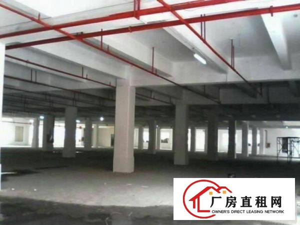 
		布吉华兴工业区二楼2500平米，现成装修，可450起租
	