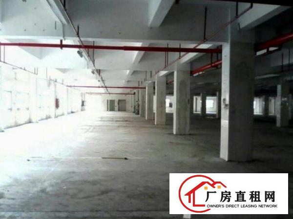 
		布吉华兴工业区二楼2500平米，现成装修，可450起租
	