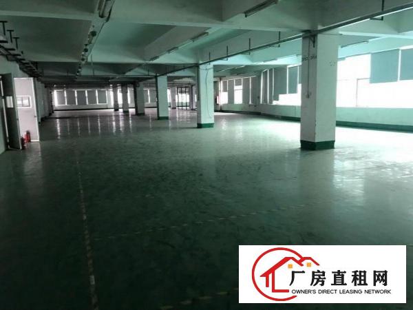 
		布吉南岭村新出厂房可分租
	