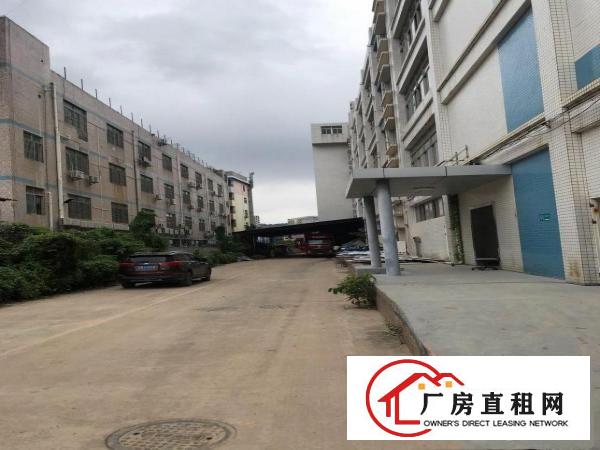 
		布吉南岭村新出厂房可分租
	