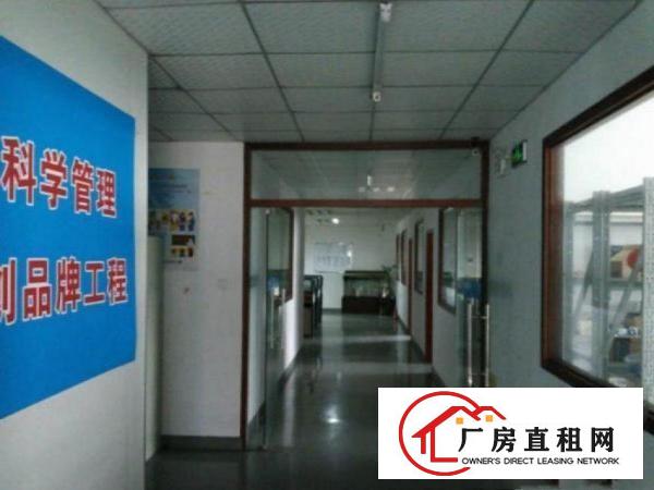 
		出租布吉百鸽笼500平精装修厂房
	