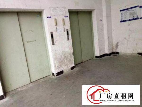 
		出租布吉丹竹头带装修400平出租有客梯有货梯
	