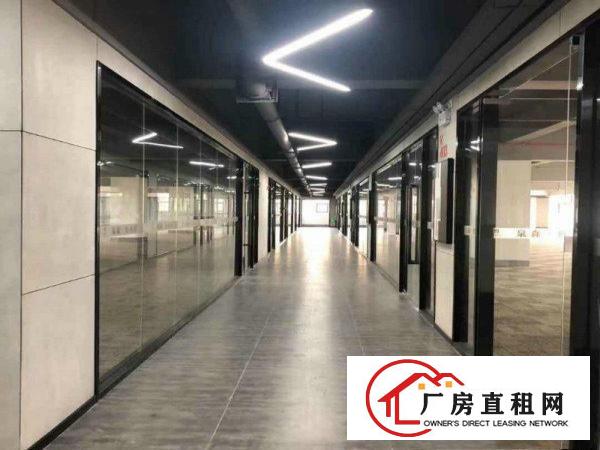 
		布吉丹竹头电商创业园火爆招商地铁旁精装修
	