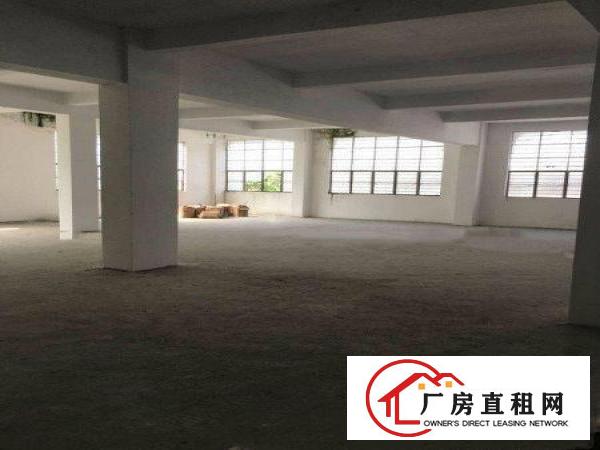 
		无公摊布吉丹竹头社区标准厂房300平方火热招租
	
