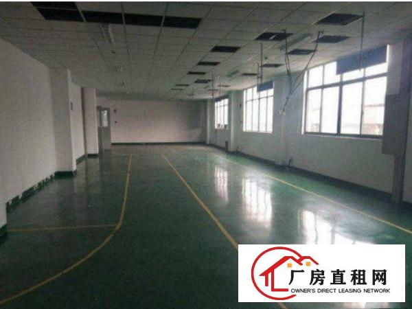 
		布吉深马工业园标准厂房楼上300平方招租，形象好
	