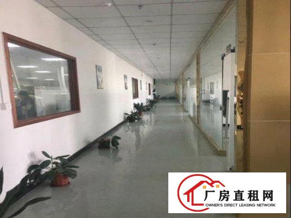 
		布吉建盈工业区楼上高端厂房300平方带装修出租，无转让费
	