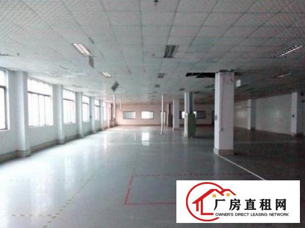 
		布吉上水径标准厂房一楼650平米特价招租，原房东
	