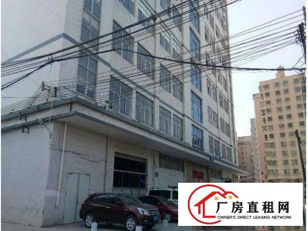 
		出租布吉深马工业园楼上600平带装修办公室厂房
	