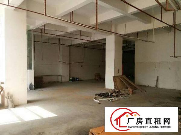
		出租布吉深马工业园楼上600平带装修办公室厂房
	