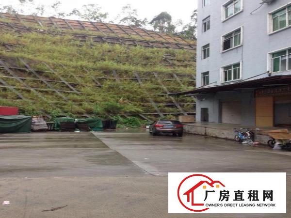 
		布吉一楼400平厂房：适合物流仓库快递中转冻库，招租
	