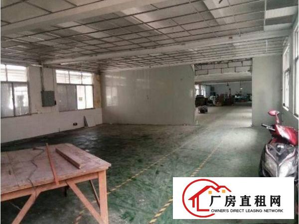 
		出租布吉樟树布新村一楼500平带装修办公室厂房
	