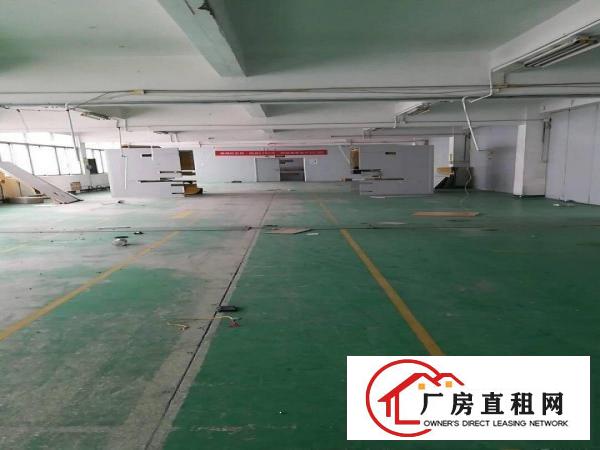 
		龙山工业区100-500平米厂房招租
	