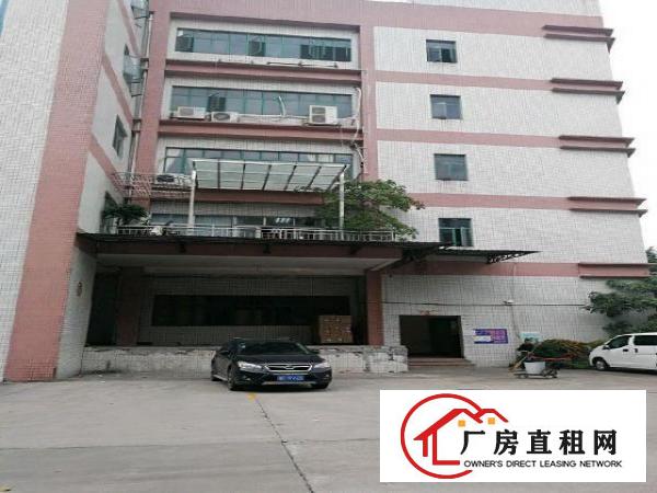 
		丹竹头工业区200平300平500平厂房招租
	