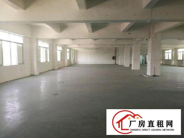 
		丹竹头工业区200平300平500平厂房招租
	