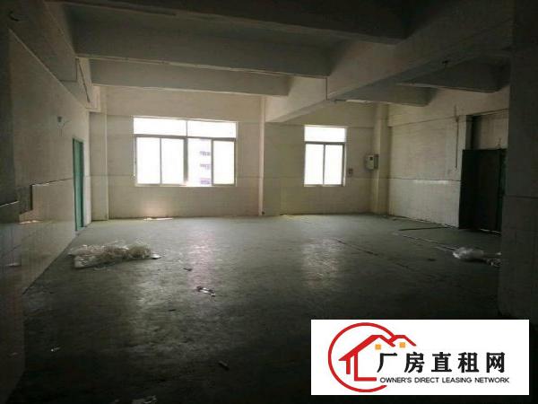
		丹竹头工业区200平300平500平厂房招租
	