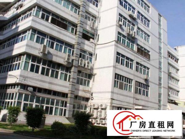 
		布吉百门前工业区厂房700平米出租
	