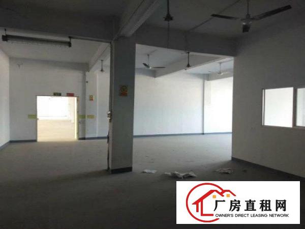
		布吉甘坑新出（原房东）2000平厂房6米高带地坪漆消防喷淋
	