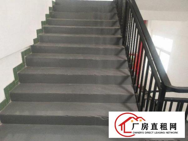 
		布吉丹竹头附近楼上200平米工贸型厂房出租
	