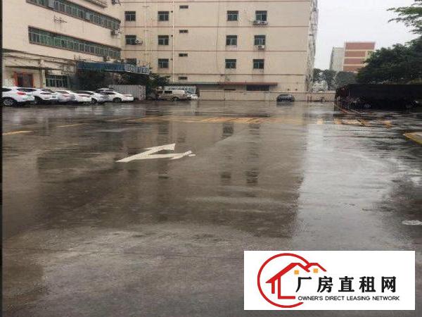 
		布吉出租原房东2400平1楼高6米
	
