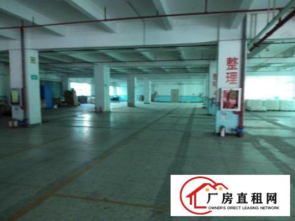 
		布吉出租原房东2400平1楼高6米
	