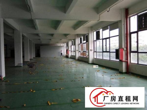 
		布吉丹竹头厂房出租400平大路旁边公摊面积小
	