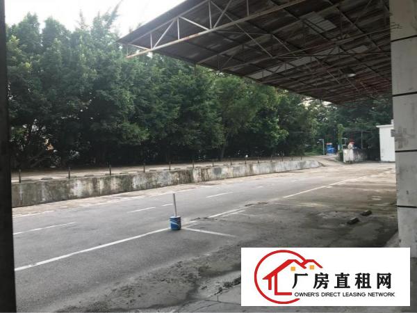 
		布吉大芬村委红本厂房（无公摊）直签合同
	