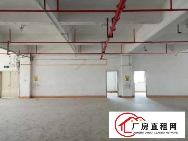 
		布吉李朗新出11000平方带卸货平台厂房仓库招租
	