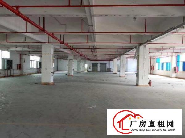 
		布吉李朗新出11000平方带卸货平台厂房仓库招租
	