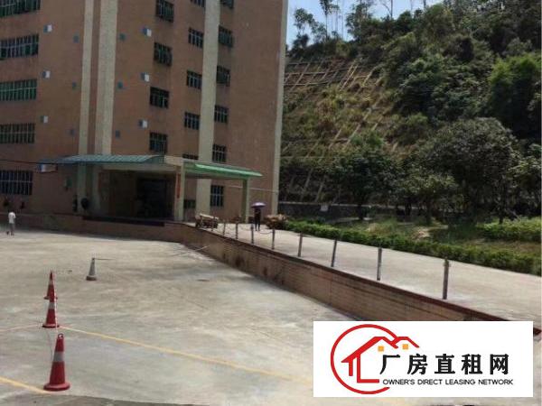 
		丹竹头地铁站每层2133平方厂房仓库招租分租
	