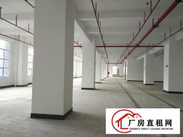 
		丹竹头地铁站每层2133平方厂房仓库招租分租
	