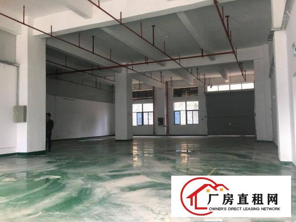 
		丹竹头地铁站300 500平方豪华装修厂房出租
	