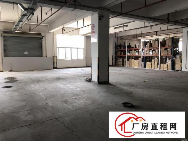
		布吉长龙下水径文博宫厂房1300平米可做服装加工等
	