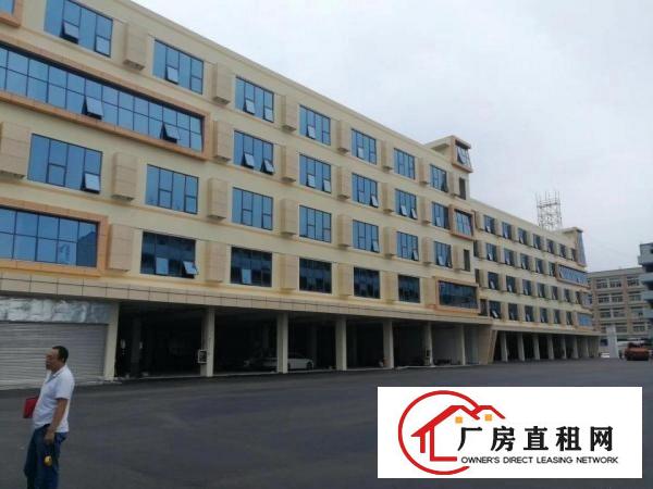 
		丹竹头300/500/1000平方电商办公室出租
	