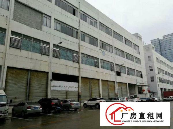 
		龙岗中心城9000平标准物流仓大小分割出租园区可托管
	